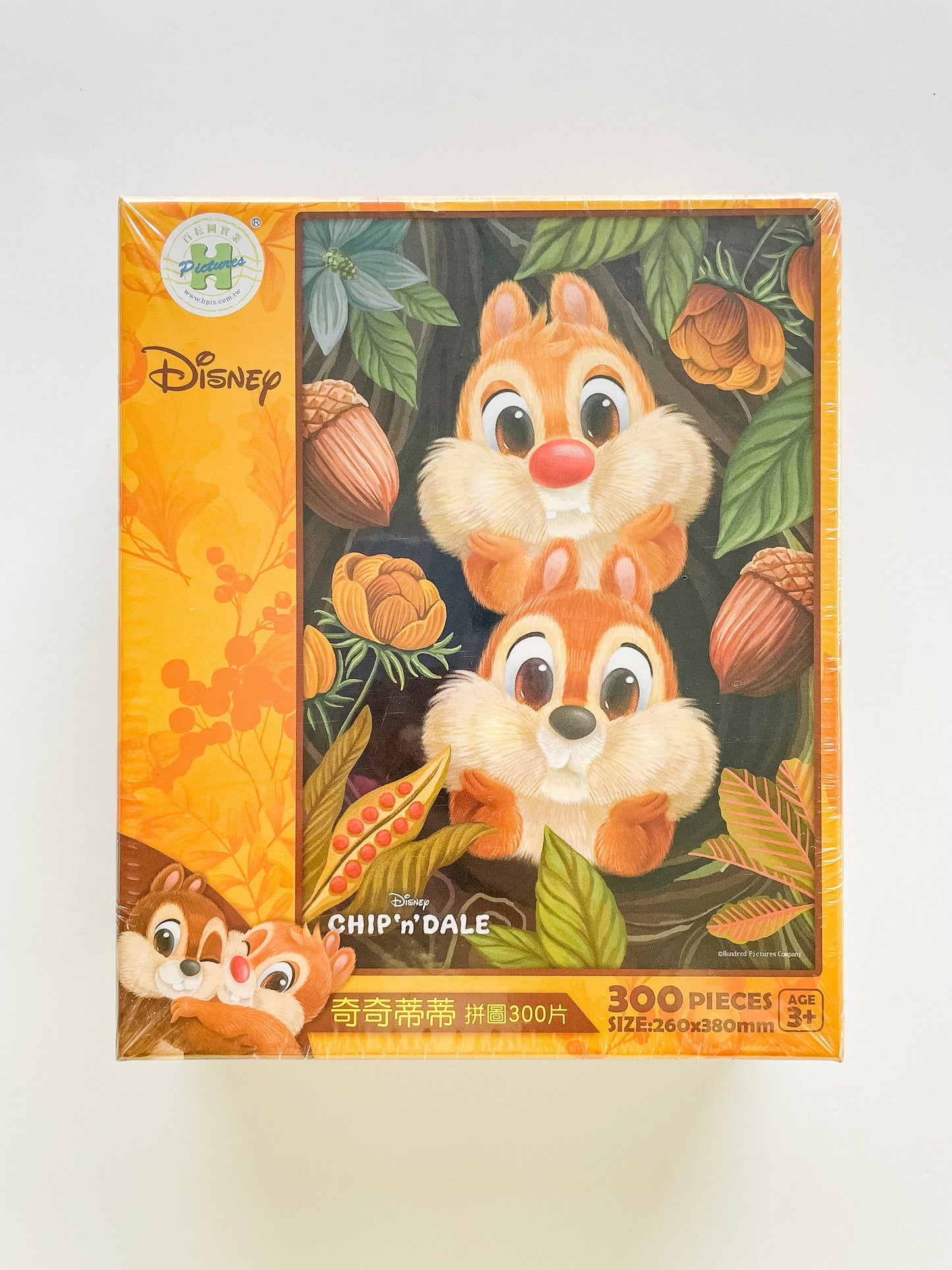 Chip and Dale Double Trouble Disney Puzzle