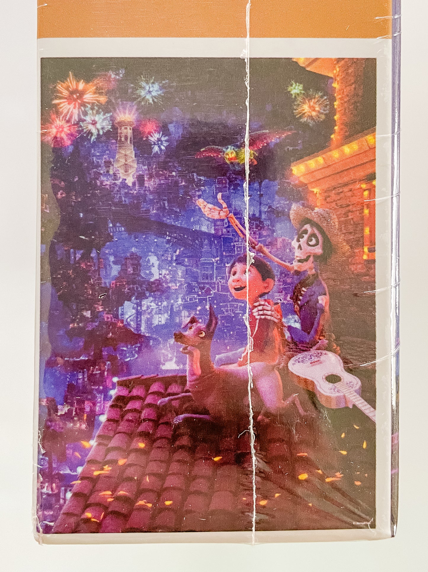 Coco Land of the Dead Puzzle