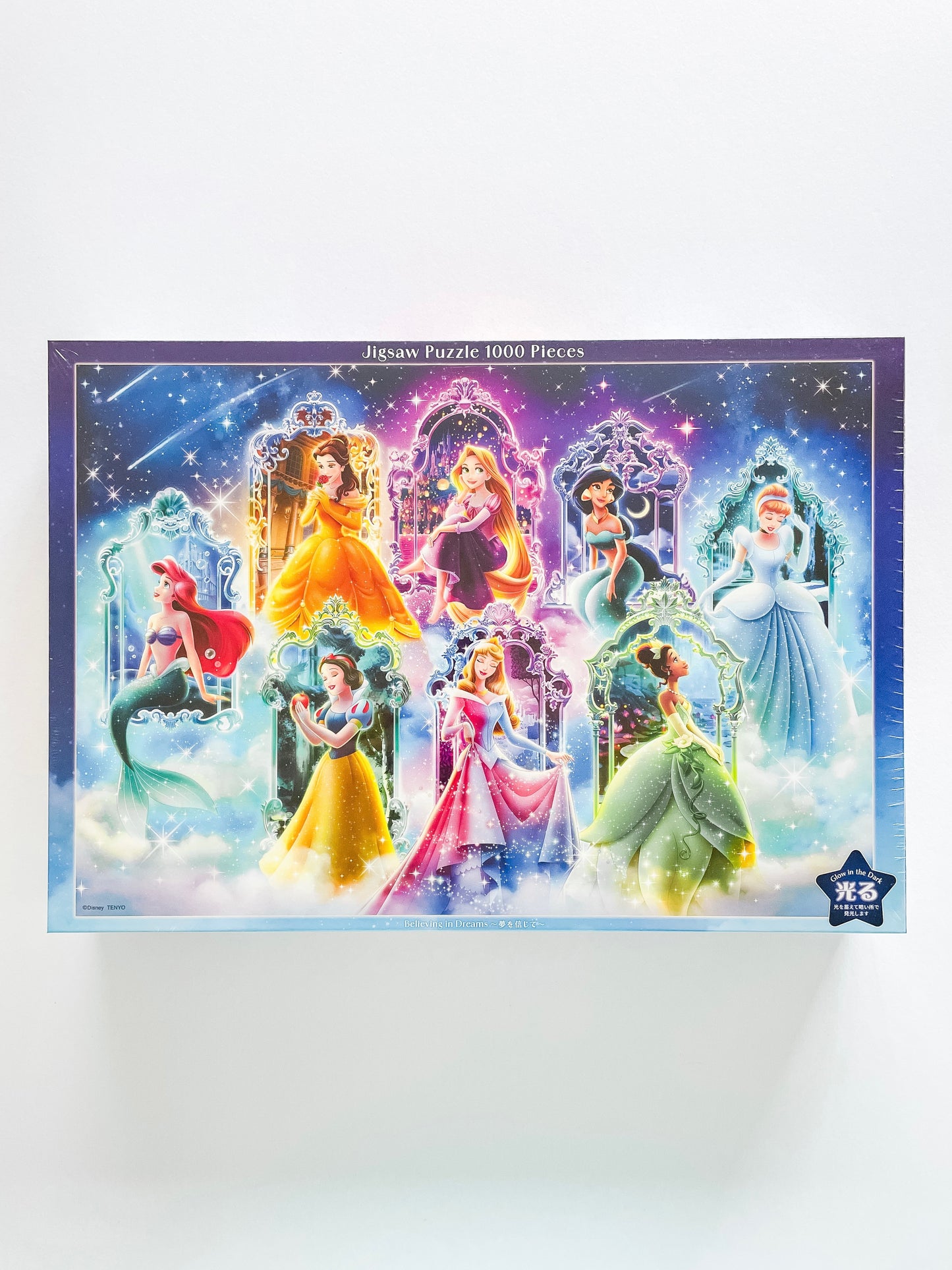 Disney Princess Believing in Dreams Puzzle