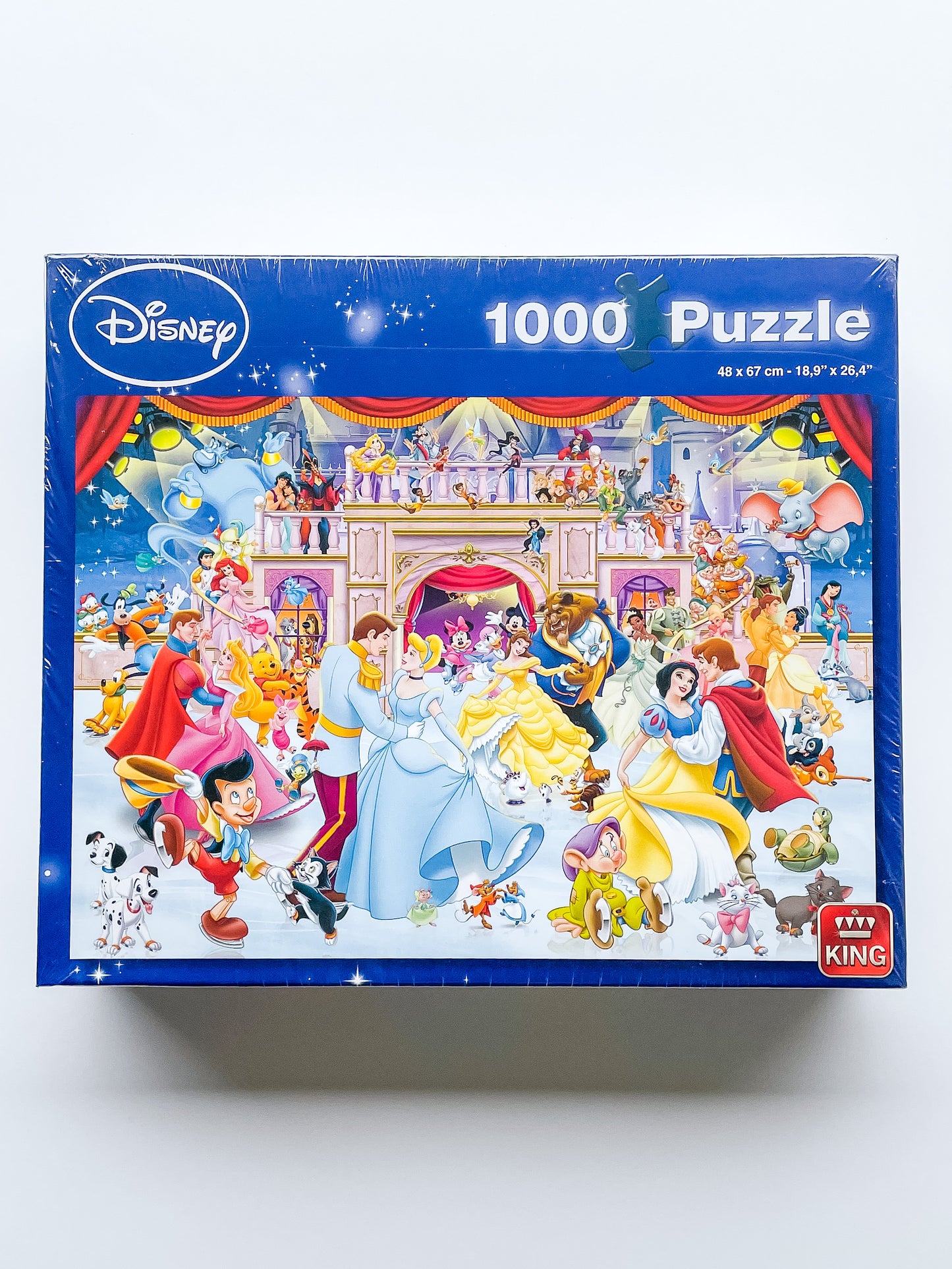 Disney Vacation on Ice Puzzle